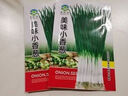 【春菜】耐熱耐寒四季小香蔥種子易種盆栽蔬果種籽 四季小香蔥【易種】沾土發(fā)芽 【四季可種】原裝精選1包約800粒 曬單實拍圖