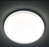 雷士（NVC） led燈飾陽臺(tái)燈浴室燈廁所燈廚房燈 led吸頂燈具 臥室燈過道走廊 如雪白 18瓦 正白光 Φ295*53MM 曬單實(shí)拍圖