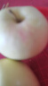 原道Small小尺寸平頭塞高性能單動(dòng)圈HiFi發(fā)燒級(jí)音質(zhì)三頻均衡有線(xiàn)耳機(jī) 原道Small-黑曜色3.5mm無(wú)麥 曬單實(shí)拍圖