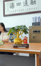 楚象財神爺招財進(jìn)寶發(fā)財樹(shù)擺件聚寶盆客廳辦公室店鋪前臺裝飾開(kāi)業(yè)禮物 招財進(jìn)寶財神【禮盒裝】 曬單實(shí)拍圖