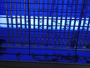 WCZ滅蚊燈滅蠅蒼蠅掛墻餐廳飯店商鋪室內家用驅蚊神器電蚊子 加強款紫光三管LED-20W 曬單實(shí)拍圖