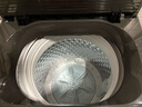美的（Midea）波輪洗衣機(jī)全自動(dòng)家用 MB80V36DT 8公斤變頻 至高1.25洗凈比超凈洗 抗菌螨 以舊換新 家電國(guó)家補(bǔ)貼 曬單實(shí)拍圖