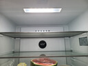 美菱（MeiLing）收納師501升雙系統(tǒng)一級能效四開十字門冰箱家用風冷變頻大容量超薄抗菌凈味BCD-501WP9CX國家補貼 曬單實拍圖