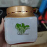 富爸爸切件泡菜750g/瓶 辣白菜 韓式酸辣白菜泡菜  曬單實拍圖