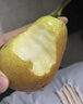 柚公主【JD/順豐直達(dá)到家】智利彩啤梨當(dāng)季新鮮水果彩虹啤梨西洋梨軟糯 4斤 果農(nóng)現(xiàn)摘現(xiàn)發(fā) 曬單實(shí)拍圖