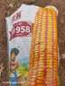 大禹鄭單958玉米種子國審產(chǎn)高矮大棒雜交抗旱抗倒官方正品矮桿包谷 國審鄭單958玉米種子500g2袋 曬單實(shí)拍圖