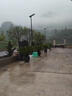 雨馨世家太陽(yáng)能路燈戶(hù)外燈別墅庭院燈小區(qū)公園景觀燈超亮大功率高桿路燈 【太陽(yáng)能】金雕燈+6米雕花燈桿 曬單實(shí)拍圖