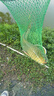 BKUMAN進(jìn)口日本東麗原絲釣魚(yú)線(xiàn)主線(xiàn)子線(xiàn)超柔軟超強拉力高端尼龍線(xiàn)抗打卷 東の原絲【透明子線(xiàn)】220米 1 曬單實(shí)拍圖