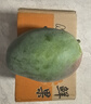 壹萌果蔬金煌芒芒果 當(dāng)季現(xiàn)摘廣西大芒果新鮮水果青皮芒果整箱送禮 9斤老樹果【單果300g+】 凈8斤 曬單實(shí)拍圖