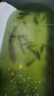 新型自動翻轉(zhuǎn)魚鉤子線雙鉤綁好防纏繞子線雙鉤反轉(zhuǎn)不脫鉤子線 10副防纏繞翻轉(zhuǎn)子線雙鉤 5號鉤+1.2號子線 曬單實拍圖