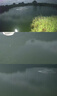 博洛尼魚(yú)塘增氧機(jī)全自動(dòng)池塘增氧泵220v大功率大型魚(yú)池打氧機(jī)養(yǎng)魚(yú)氧氣泵 【適3.2畝】2200W-30米線 【純銅芯】220V全自動(dòng)款 曬單實(shí)拍圖