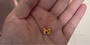 金小貅足金999蝴蝶結(jié)轉(zhuǎn)運(yùn)珠黃金吊墜女3D硬金在逃公主手鏈?zhǔn)执瓺IY時尚新 1g,大號蝴蝶結(jié)【多退少補(bǔ)】 曬單實(shí)拍圖