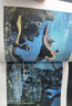 中國(guó)國(guó)家地理到深海去 海洋生物科普讀物深海探索之旅 曬單實(shí)拍圖