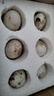 百世富澤（BAISHIFUZE）【百世富澤】黃河灘鵝蛋新鮮正宗土鵝蛋農(nóng)家自養(yǎng)新鮮鵝蛋 12枚115-130克 曬單實(shí)拍圖