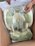 ledibaby樂蒂寶貝嬰兒童安全座椅0-4-12歲汽車用寶寶坐椅車載可坐可躺 太空艙P(yáng)ro+官配版【春芽綠】 曬單實(shí)拍圖