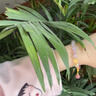迪后（Dirholl）輕奢侈品桃花瑪瑙和田玉手鏈女感飾品手串生日禮物送女友老婆 [遇上桃花-手鏈] 曬單實(shí)拍圖