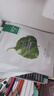 一葉子（One leaf）面膜護膚品補水保濕鎖水彈滑提亮緊致天才面膜30片女學(xué)生官方 【經(jīng)典款】天才面膜30片 曬單實拍圖