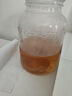 仁心食匠正宗胃寶菌 海寶 醋蛾子 紅茶菌菌種 康普茶配說明書技術(shù)指導(dǎo)包活 2片+菌液試用裝 曬單實(shí)拍圖