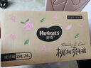 好奇（Huggies）鉑金裝成長褲XXL74片(15kg以上)小桃褲加加大號嬰兒尿不濕超薄 曬單實拍圖
