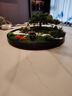 酒店圓桌中間裝飾擺件轉盤(pán)微景觀(guān)植物造景盆景擺花餐桌沙盤(pán)裝飾花 迎客松 40厘米直徑 曬單實(shí)拍圖