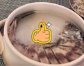 京鮮送【鯉魚(yú)】微山湖大鯉魚(yú)新鮮活鮮四鼻鯉魚(yú) 大魚(yú) 活魚(yú)現殺淡水魚(yú) 一條裝(殺好總重8兩-1.0斤) 曬單實(shí)拍圖