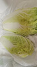 有機(jī)匯有機(jī)娃娃菜 有機(jī)蔬菜火鍋涮菜 有機(jī)認(rèn)證基地自種 新鮮采收無農(nóng)殘 500g 曬單實(shí)拍圖