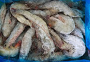 GUO LIAN國聯(lián) 生鮮鹽凍大蝦 無冰凈重3斤 鹽凍特大號45-60只 海產冷凍蝦 曬單實拍圖