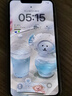 Apple iPhone X 蘋果xs 蘋果xsmax 二手蘋果手機(jī) 二手手機(jī) 國行全網(wǎng)通 國行 蘋果xsmax 顏色隨機(jī)【原裝屏幕】 【白條免息+品牌電池100】95新 256G 曬單實(shí)拍圖