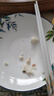 瑪戈隆特 鸚鵡輕奢餐具家用高檔骨瓷盤子平盤湯盤魚盤水果盤散件菜盤 16.5CM禪意湯盤 曬單實拍圖