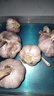 新干蒜蔬菜糖醋蒜燒烤火鍋調(diào)料食材大蒜 3頭裝50g 3.5-5cm 曬單實(shí)拍圖