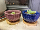 萌優(yōu)優(yōu)（MENG YOU YOU） 冰裂花盆 陶瓷創(chuàng)意簡(jiǎn)約小花盆桌面陽(yáng)臺(tái)多肉花盆含竹托（不含綠植 曬單實(shí)拍圖