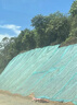 護(hù)坡固土草籽耐寒耐旱邊坡綠化工程草坪草種子免修剪黑麥草高羊茅 護(hù)坡四季青10斤【快速?gòu)?fù)綠】 曬單實(shí)拍圖