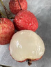 四川合江帶綠荔枝新鮮瀘州妃子笑大紅袍桂花味現(xiàn)摘現(xiàn)發(fā)順豐5 5斤 現(xiàn)摘順豐次日達(dá) 觀音綠【大果】濃郁清香味爆贊 曬單實(shí)拍圖