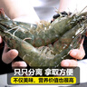 鯨口大開新鮮青島大蝦超大蝦凍蝦白蝦鮮活冷凍對(duì)蝦大號(hào)青蝦海鮮批發(fā) 16-18厘米鮮蝦速凍整箱 3斤(凈重) 曬單實(shí)拍圖