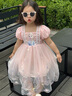 G.DUCKKIDS童裝女童愛莎公主裙夏季洋氣兒童裙子夏季禮服裙小女孩六一表演服 藍(lán)色裙子 110 (建議100cm 4-5歲左右)cm 曬單實拍圖