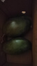 三亞芒果  海南芒果新鮮水果生鮮整箱當(dāng)季大青皮芒 熱帶孕婦芒果 5斤裝(凈果4.5斤)單果201克+ 曬單實(shí)拍圖