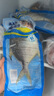 陽江特產(chǎn)漁家制法一夜埕咸鮮金鯧魚350-400g黃特鯧咸魚干深海鯧魚 350g-400g*1條 曬單實拍圖