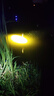 金誠頂點北京B9000PIUS釣魚燈強光大功率黑坑藍(lán)紫夜釣激光鐳射炮誘魚超亮 B9000S PIUS (灰色） 2.1米三角架套餐 曬單實拍圖