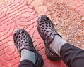 BIRKENSTOCK勃肯德國進口男女款經(jīng)典舒適軟木Arizona雙扣拖鞋 女款灰色 37 曬單實拍圖