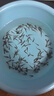 活體飼料魚(yú)麥穗魚(yú)小魚(yú)苗喂龍魚(yú)羅漢鱷龜開(kāi)口飼料魚(yú)淡水魚(yú)活魚(yú)包活 飼料魚(yú)1-2厘米200條送10%防損 曬單實(shí)拍圖