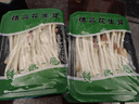 【JD京鮮配送】花生芽新鮮蔬菜當天采摘花生苗長壽芽火鍋苗菜沙拉 花生芽2000g【鮮嫩】 曬單實拍圖