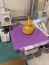 拓竹A1 mini Combo3D打印機學(xué)生新手友好 兒童Steam教育 桌面家用FDM 全自動調(diào)平多色高速【大陸版】 曬單實拍圖