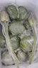 京鮮生 江西水果蓮蓬 凈重2斤 單支70g+ 新鮮水果 源頭直發(fā)包郵送荷花 曬單實拍圖