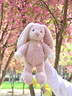 Jellycat害羞粉色郁金香邦尼兔動(dòng)物毛絨玩偶公仔潮玩送禮娃娃生日禮物520 害羞粉色郁金香邦尼兔 Medium 曬單實(shí)拍圖