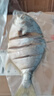 北海特產(chǎn)新曬金昌魚干咸魚干深海金鯧魚干海鮮干貨風(fēng)干 金鯧500g（約2-3條） 曬單實拍圖