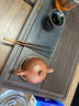 京東京造 茶盤(pán)茶托 茶盤(pán)帶儲(chǔ)水排水茶臺(tái)功夫茶具簡(jiǎn)約中式景洲科技木茶盤(pán) 曬單實(shí)拍圖