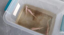 智宙六角恐龍魚飼料蠑螈飼料專用下沉底棲魚食清道夫七星魚通吃魚糧 135ML買一送一 曬單實(shí)拍圖
