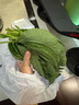 良知農(nóng)哥 【順豐】東北新鮮蘇子葉 蘇紫葉蘇菜葉 健康輕食 250g約90片 曬單實拍圖