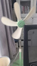 中聯(lián)中聯(lián)落地扇zolee電風(fēng)扇落地扇家用臺立式遙控靜音客廳節(jié)能學(xué)生宿舍迷你風(fēng)扇電扇安全聲控語音 綠色+開關(guān)線 曬單實拍圖