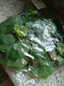 水木然仿真藤條精靈綠蘿綠植藤蔓塑料管道吊頂裝飾仿真植物綠葉5條裝 曬單實(shí)拍圖
